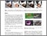 [thumbnail of spotCAe-2.pdf]