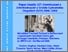 [thumbnail of wp127.pdf]