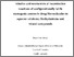 [thumbnail of Full thesis final  (Hiwa Ahmad)-1.pdf]