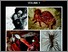 [thumbnail of Trimmis_Petrocheilos_2013.pdf]