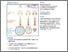 [thumbnail of mohammed et al 2016.pdf]