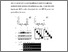 [thumbnail of 1-s2.0-S0022202X16326616-mmc1.pdf]