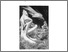 [thumbnail of Garuda Daniel Bickerton SCORE.pdf]