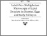 [thumbnail of 2016BradleyJFPhD.pdf]